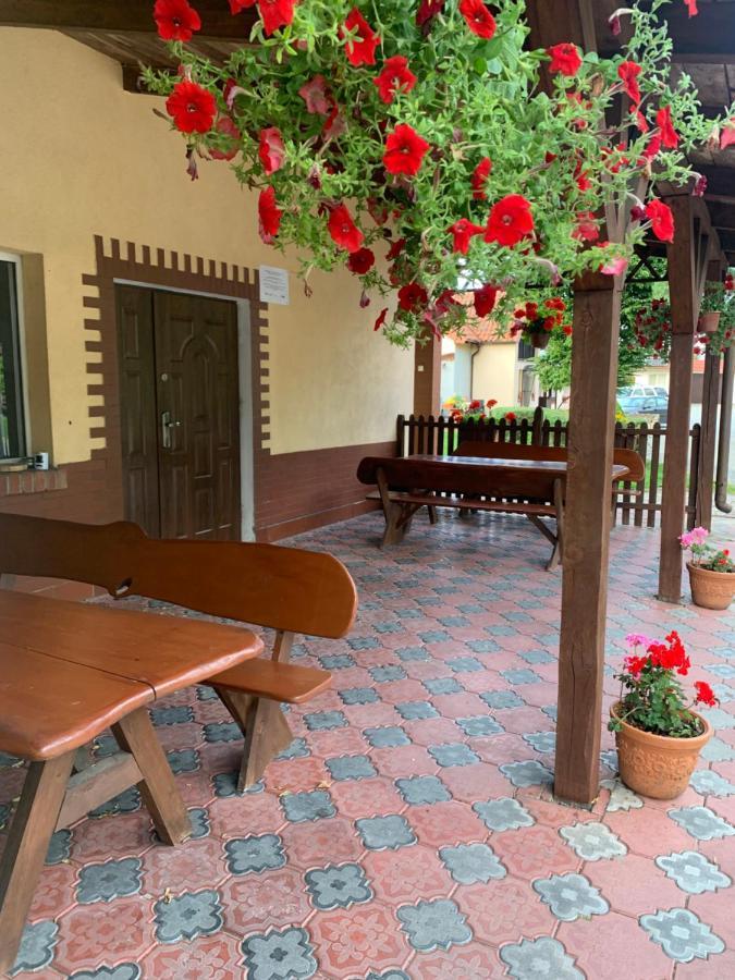 Noclegi Ciesiul Orneta Extérieur photo